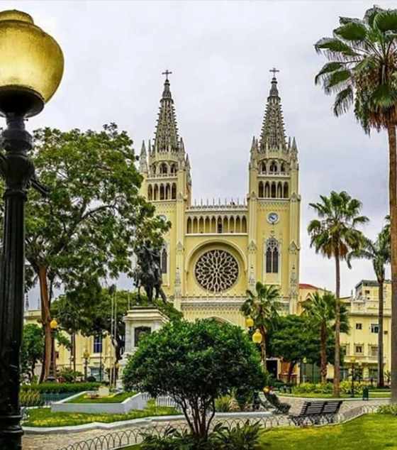 Where to Stay in Guayaquil Before Your Galapagos Trip Guayaquil Catedral